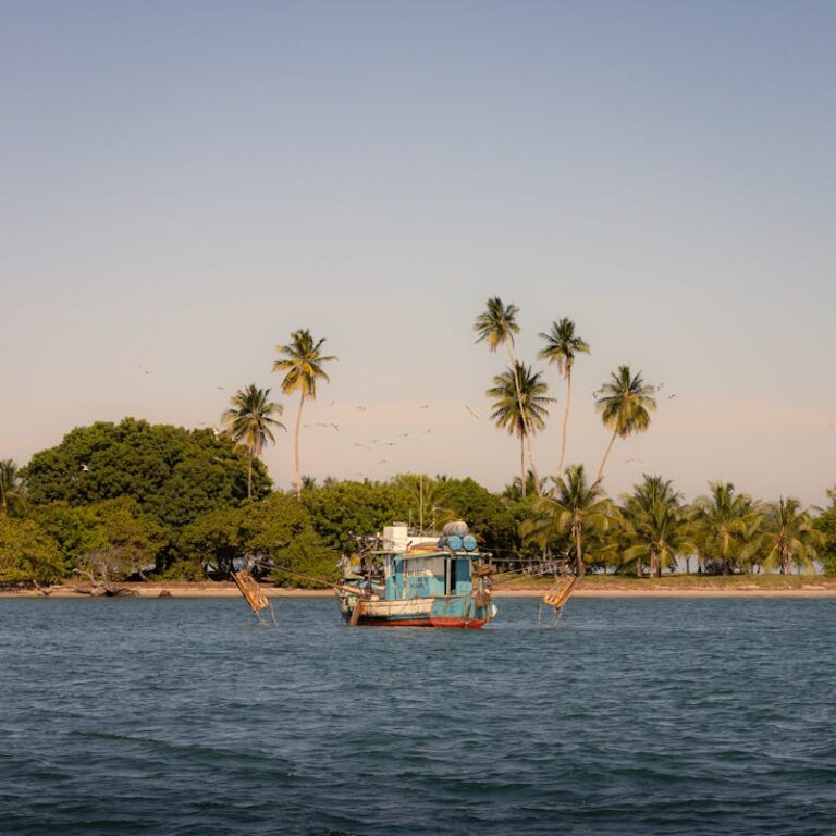 A boat on the Kerala backwaters among coconut palms